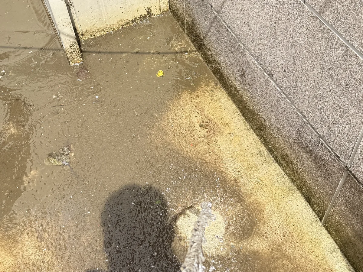 당진시 고대면 침수 현장 복도·대기 동선 야간 위생청소 사례 - 행진크린